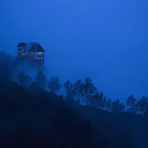 Fragrant Nature - A Five Star Classified Munnar